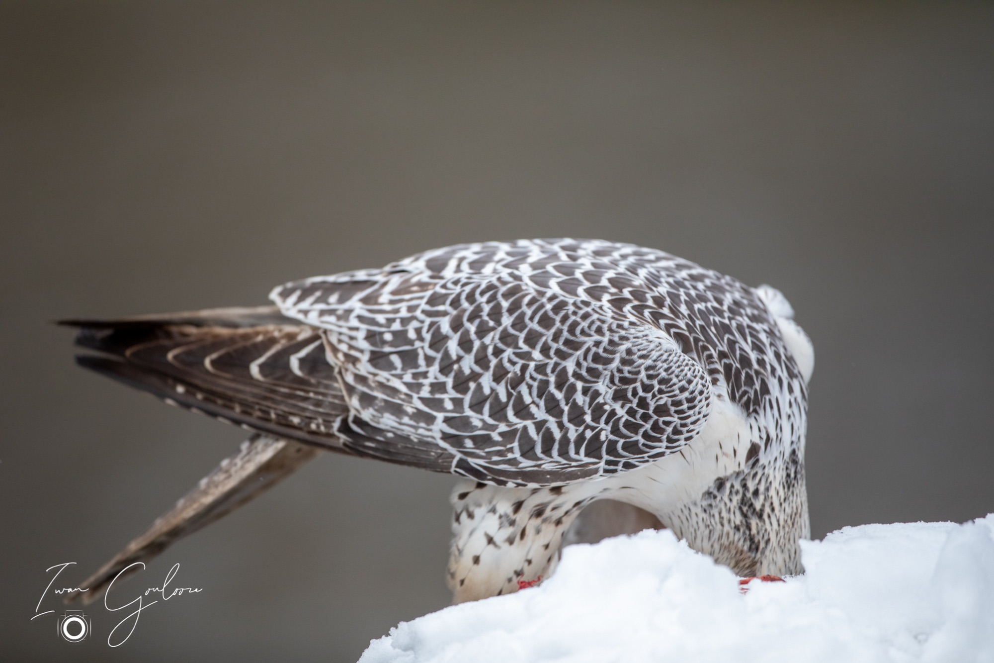 01 april 2022 115025  5D45698